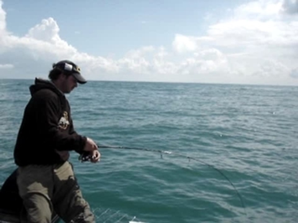 MOV00517