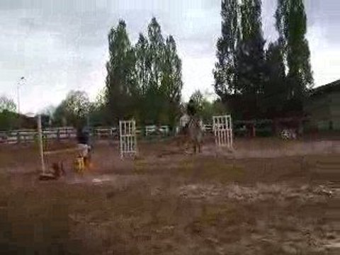 ccf nougat a l'obstacle deuxieme partie