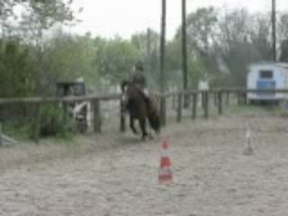 nemesis et julia au galop