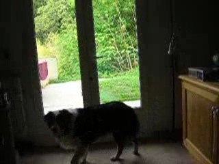 Bill avril 2009 (2) 016