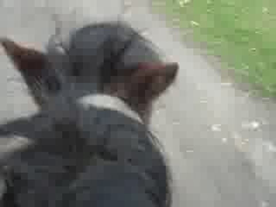 Moi et Arthur au galop