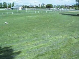 Sortie blaye 17-04-09