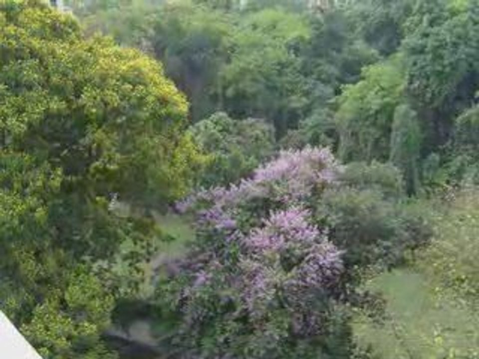 Jardin avril