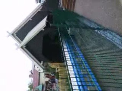 Blue fire propulsion EUROPA PARK