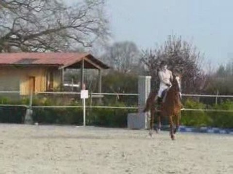 Arnas Club Elite 5avril09