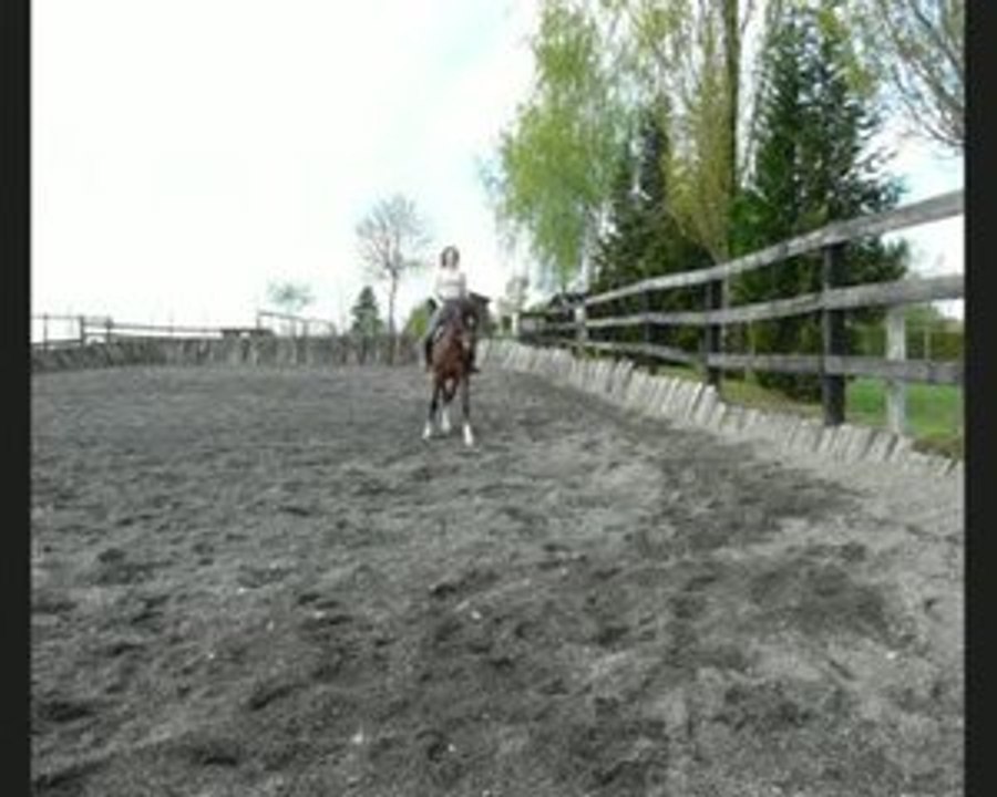 appuyers