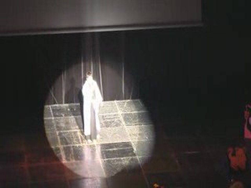 cosplay de FF et de bleach