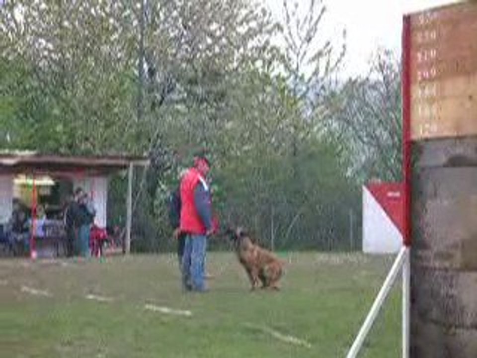 Sélectif VOLCANE Patrick 2009 040