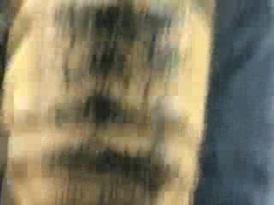 2835