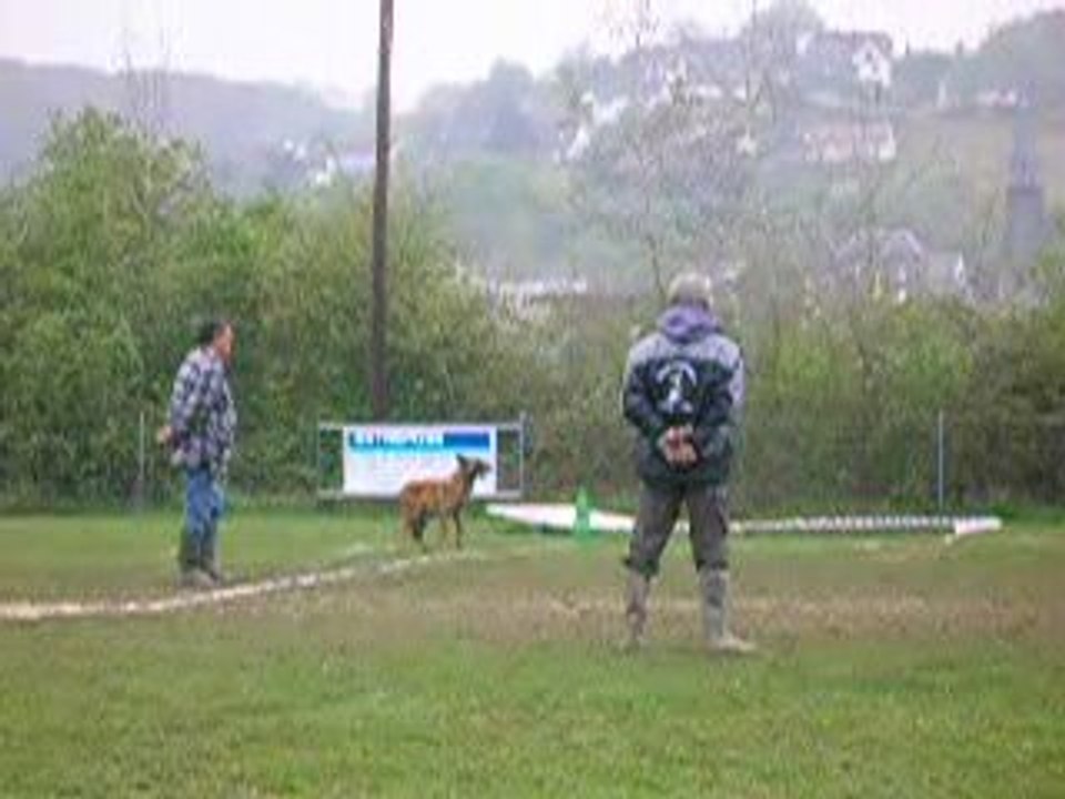 Sélectif VOLCANE Patrick 2009 039