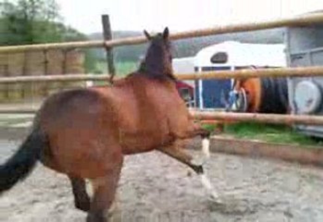 Vidéo0016