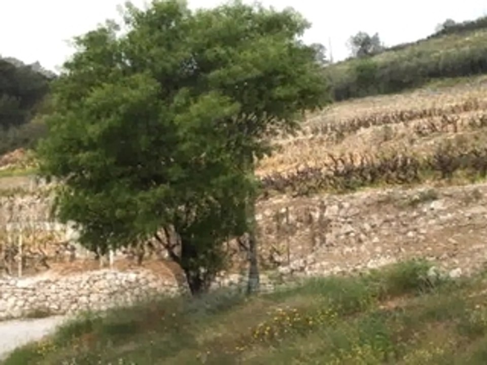 Gary Vaynerchuk, Bicycling And Croatian Wines