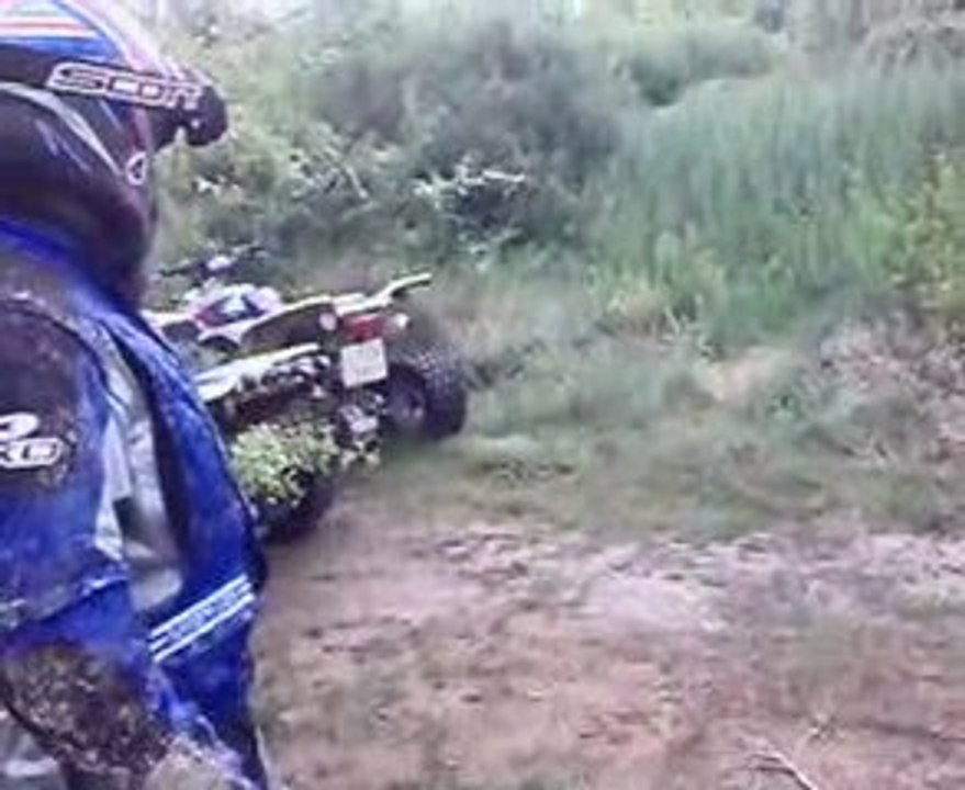 las colmenas  19/04/2009