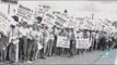 Hawaii Firsts: Pineapple Workers Strike