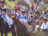 Benediction des chevaux à Calas