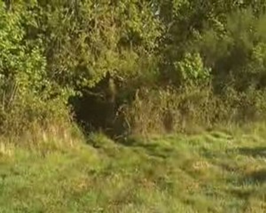 collision évité de justesse en quad dans les landes