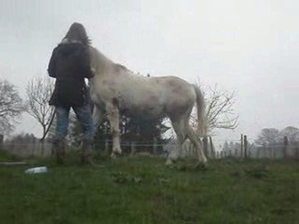 Fidjy =)