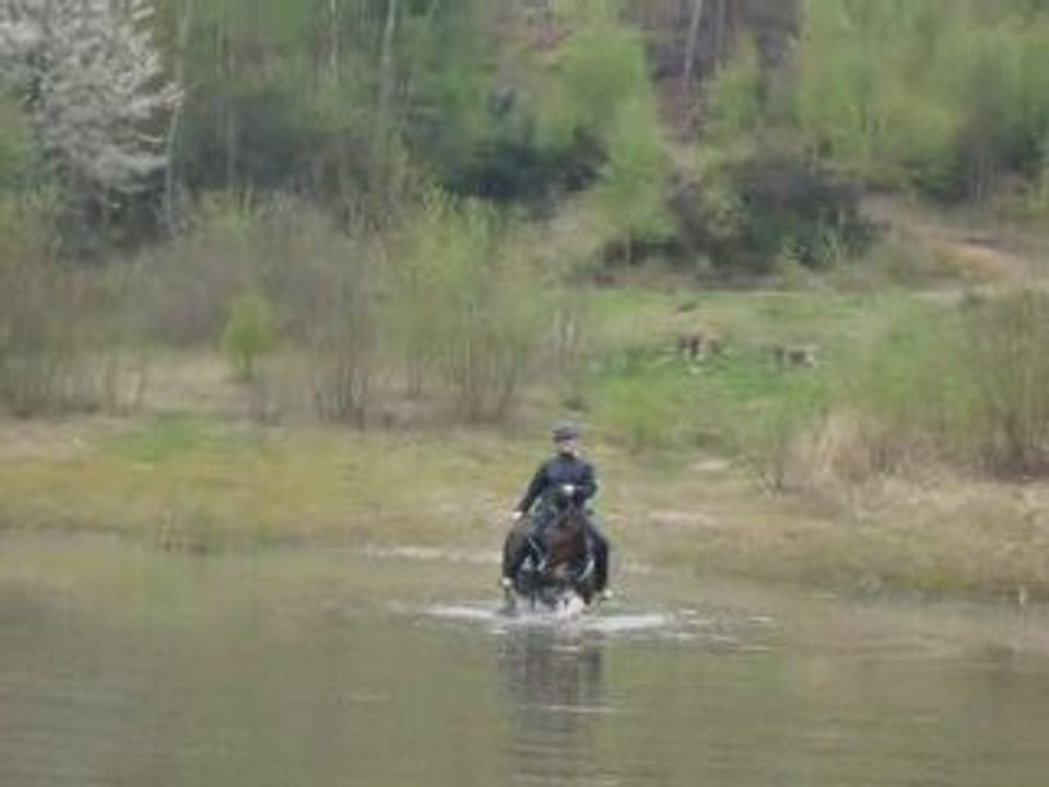 new dans l'eau