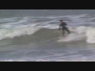 Session terriere  2009