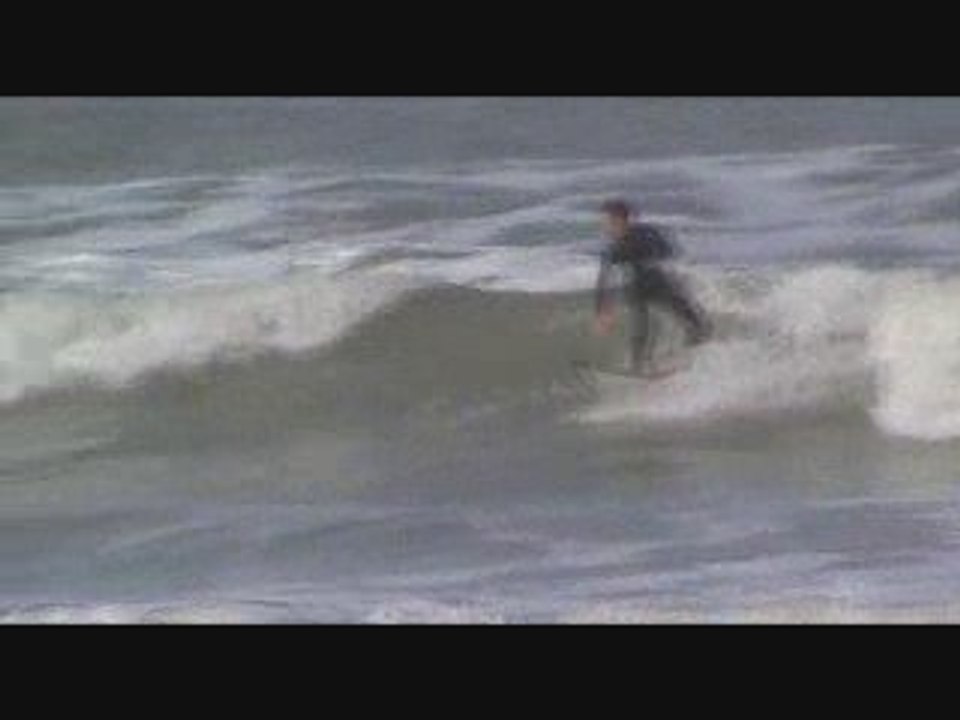 Session terriere  2009