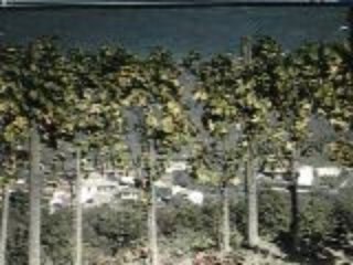 Villa Flora Artist in Residency Program in Slovenia. pt.1/3