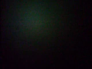 Parc prehistorique,dino-zoo