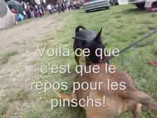 Agility St saturnin les avignon