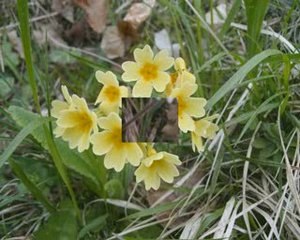Rando dans le parc du Vercors