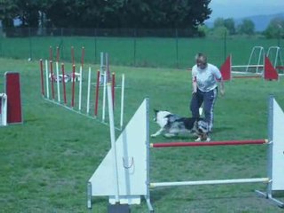 Sunnyjumpingstsat