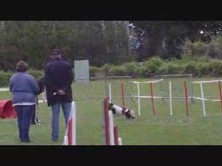 St Sat Rollings Jumping