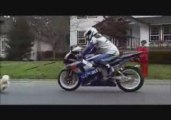 Pub - Moto Suzuki