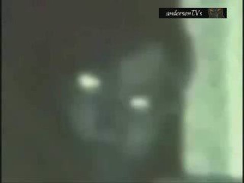 Les photos les plus terrifiantes