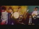 Los gatos salvajes - rock argentino - historia