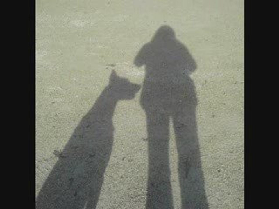 Opaline , comme tu me manques