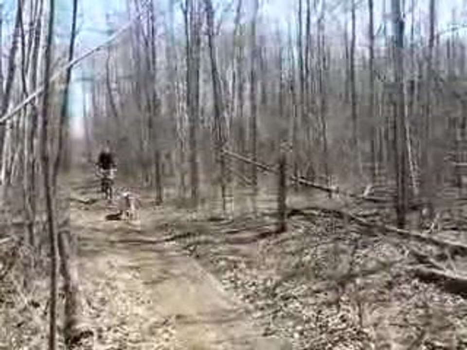 Vega en vélo 3