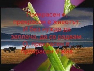 BLACK-Wonderful  Life-Превод