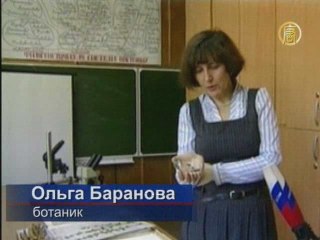 В теле человека выросло дерево