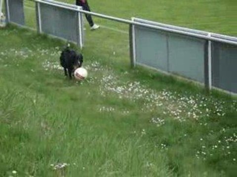 drôle de joueur de foot.... lol
