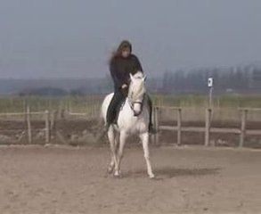 Shagan petite seance de travail