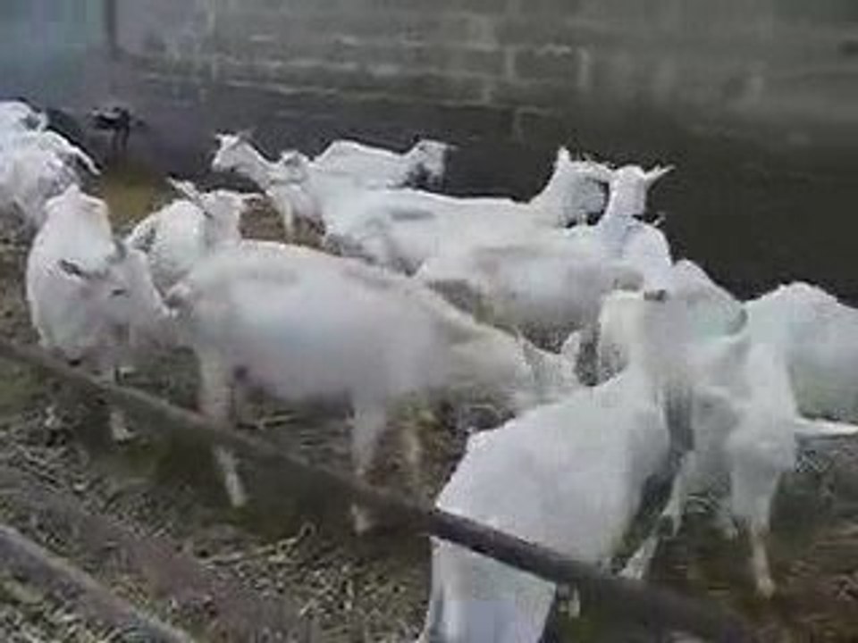 Bienvenue à la ferme