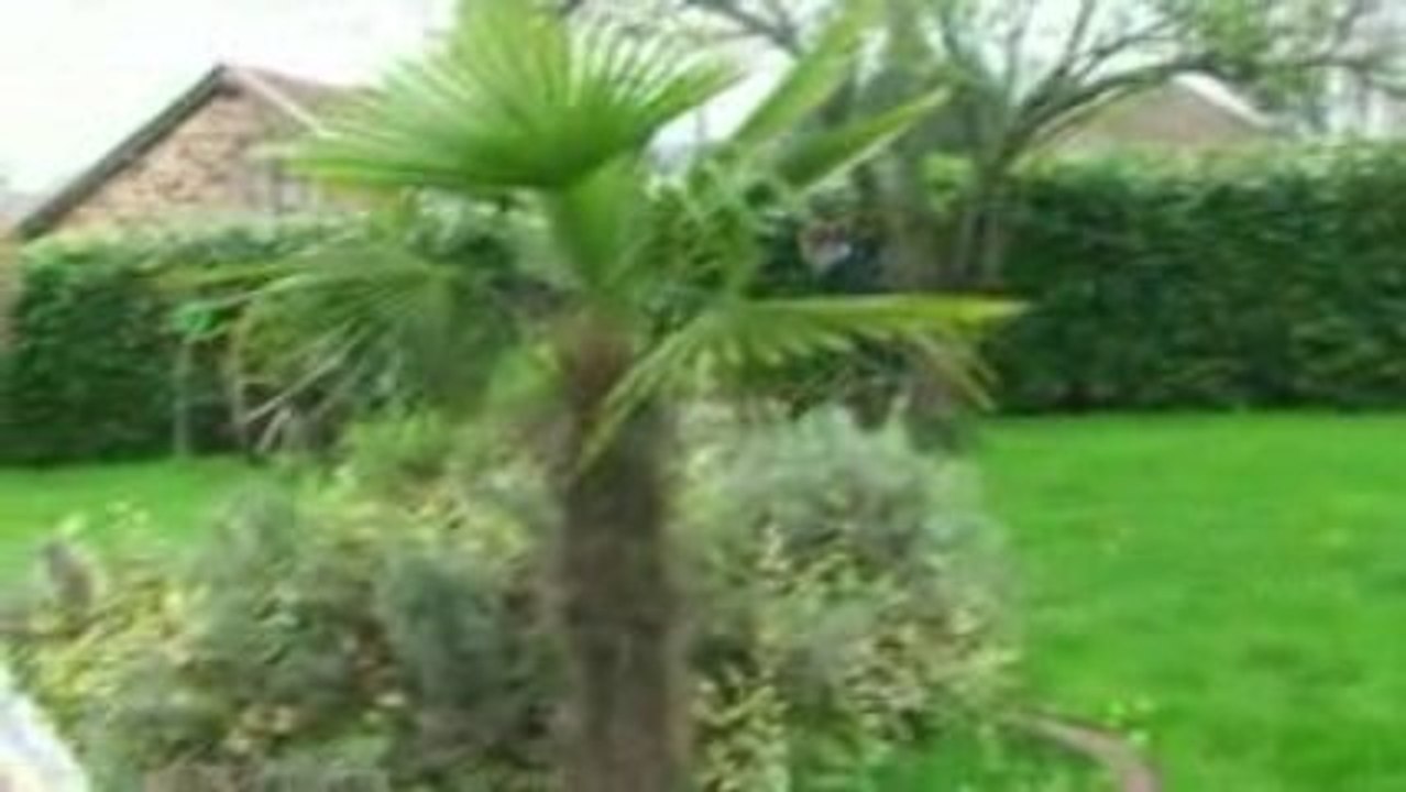 Promenade en brouette