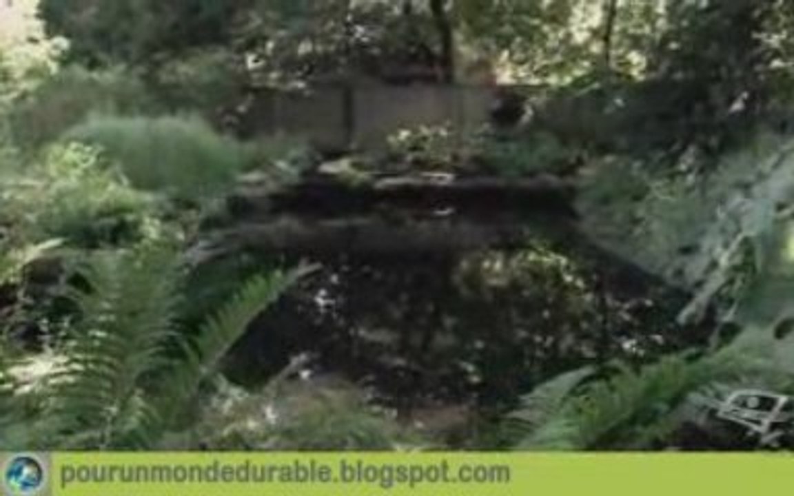 Piscine naturelle