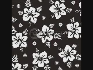 Hatice-hani gitmecektin