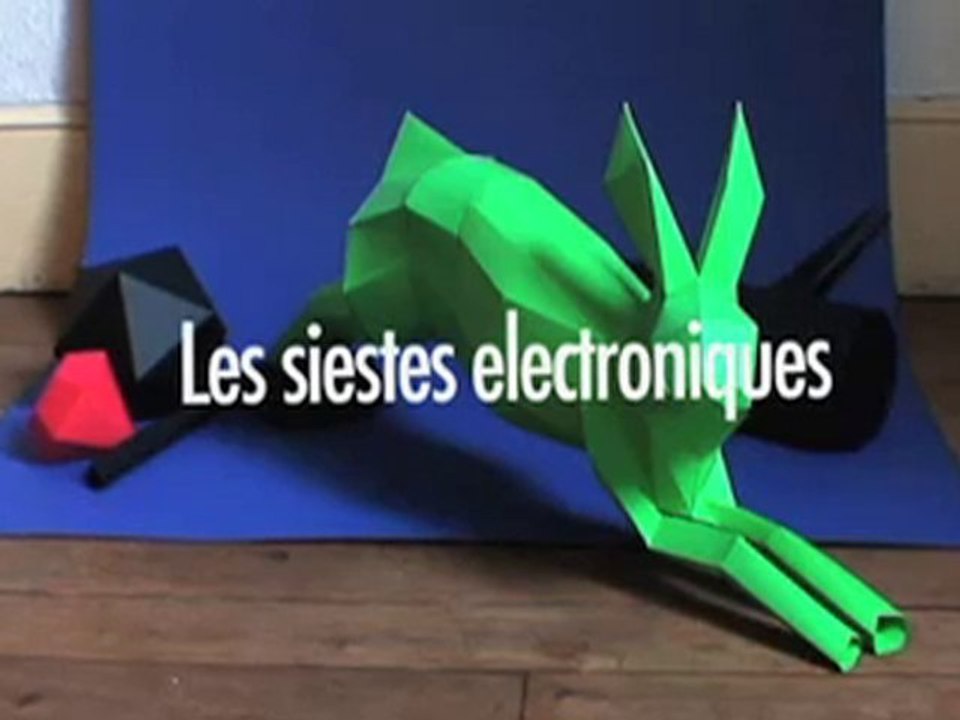 Les Siestes Electroniques 2008