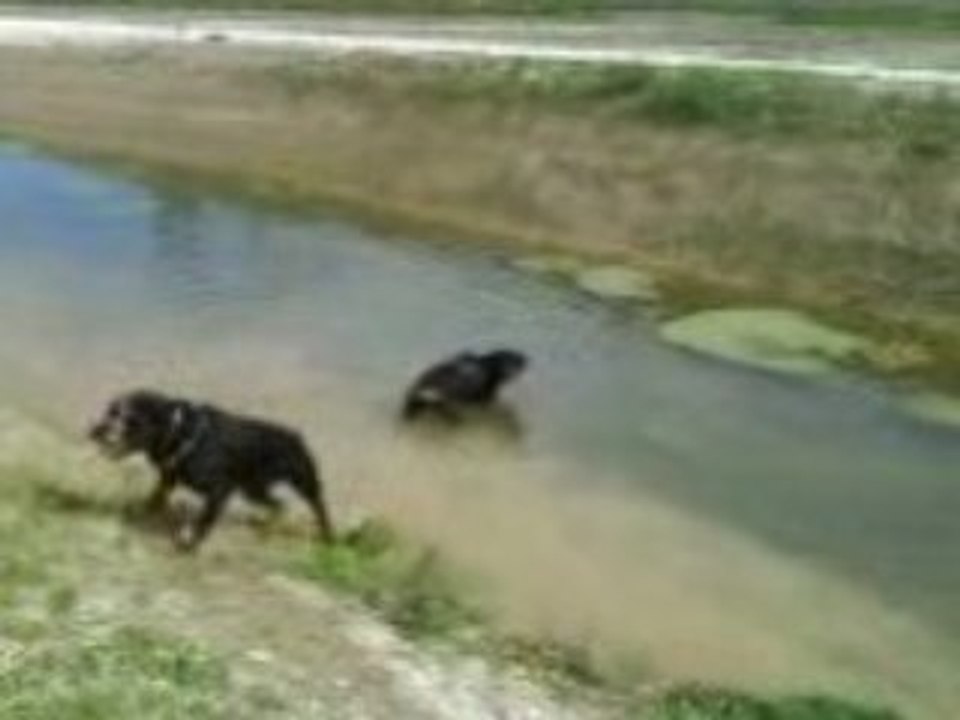 Cisko et Chiara a la robine 2