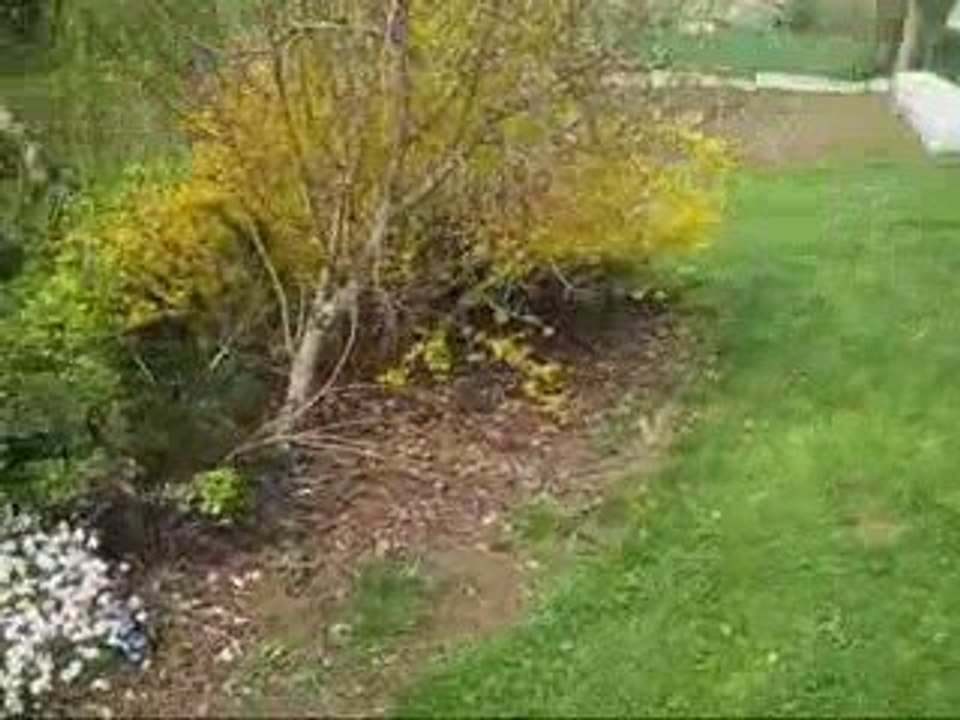 Pâques 2009 Blog Lucas