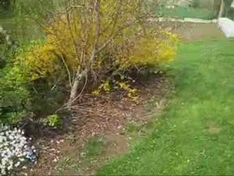 Pâques 2009 Blog Lucas