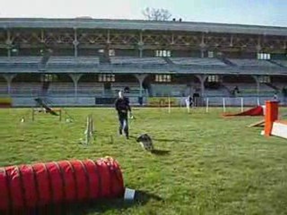 antoine et pepsi  open  agility vichy 2009