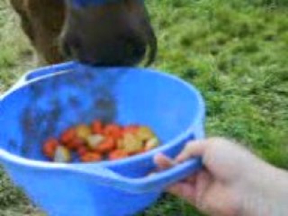 Bijou mange enfin!