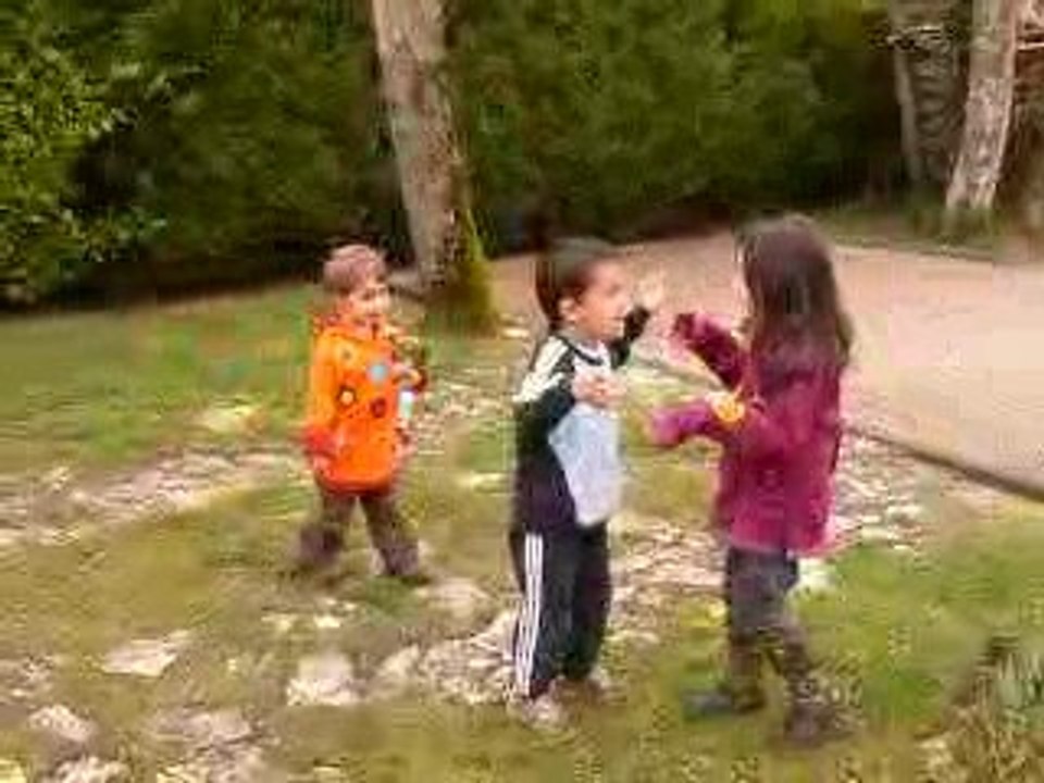 3 petits loups